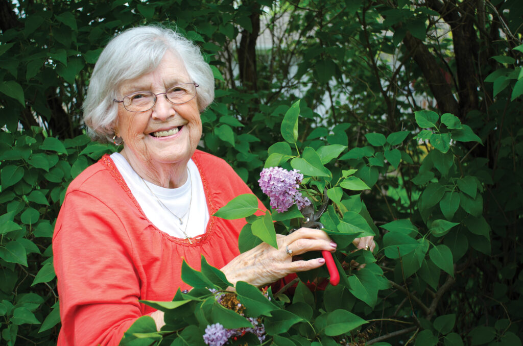 Senior woman smiling while trimming lilac flowers in an independent living community garden.