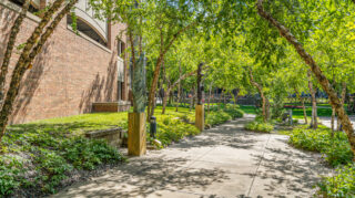 Tree-lined garden walking path with sculptures and landscaped greenery at The Pines of Richfield in Richfield, Minnesota