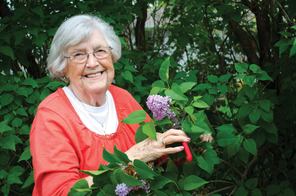 Older adult trimming lilac flowers in a garden setting, representing independent living activities like The Pines of Richfield in Richfield, Minnesota